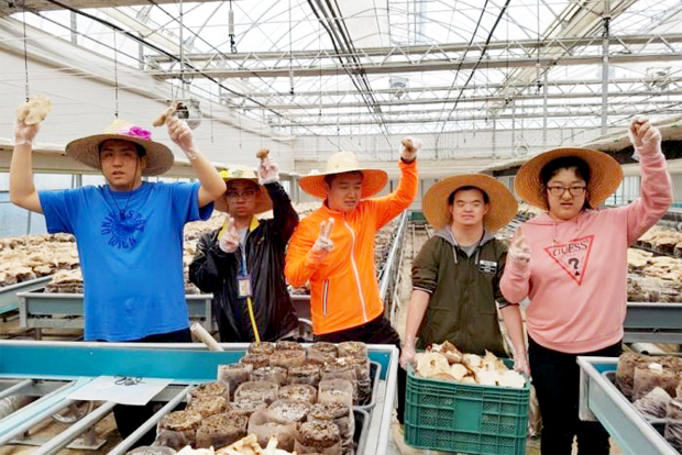 두 부부가 운영해온 농장에서 친환경 표고버섯 수확의 기쁨을 체험했던 장애청년들