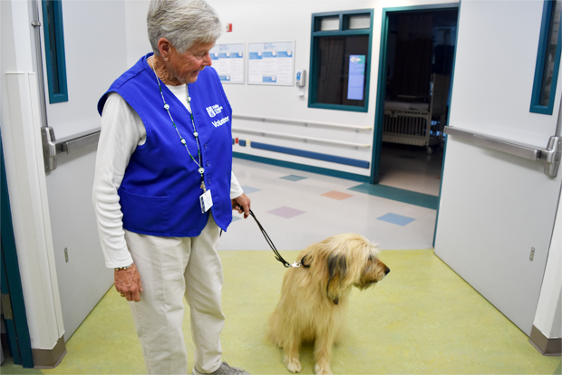 입원 어린이를 위해 ‘찾아가는 동물서비스’를 제공하는 자원 봉사자와 개