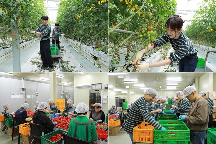 푸르메소셜팜에서 봉사하는 혼다코리아 임직원 모습