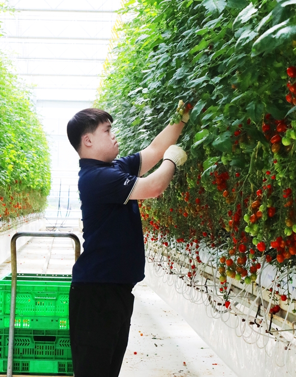 푸르메소셜팜 직원 모습