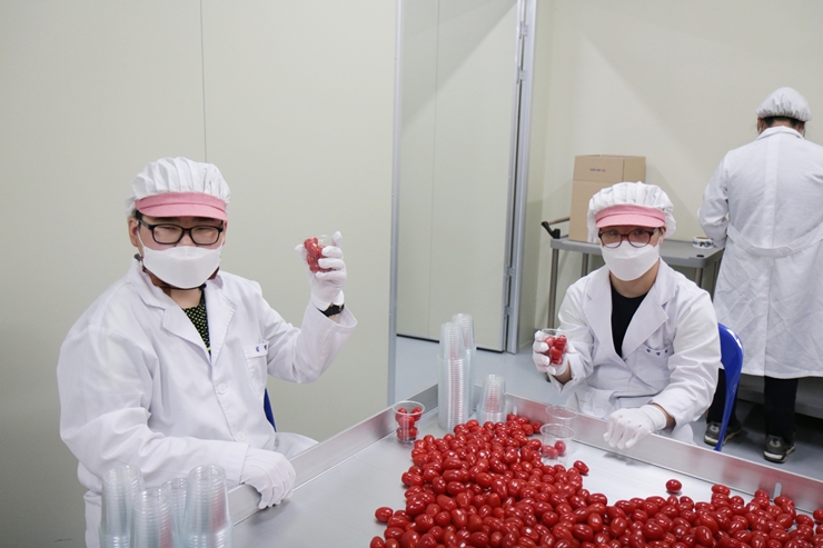 푸르메소셜팜 직원 모습