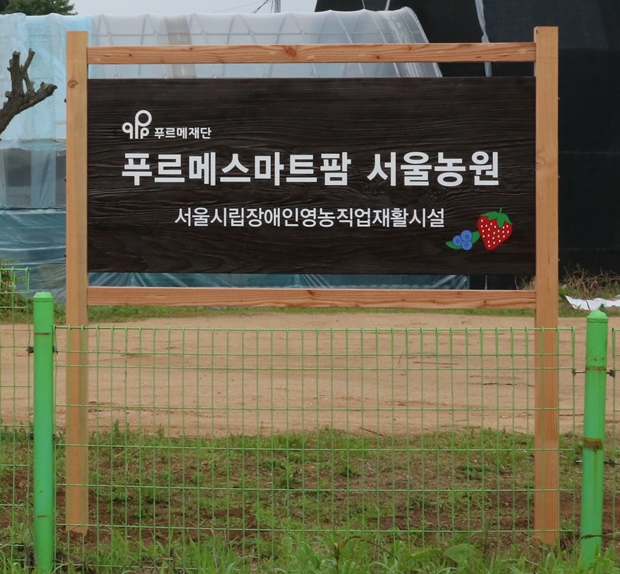 경기도 남양주시에 위치한 서울농원. 큰 길가에서 조금만 벗어나면 푸른 잔디밭과 꽃밭이 함께하는 서울농원이 펼쳐진다.
